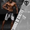 Aesthetic Armour Men's Physique ONYX Board Shorts