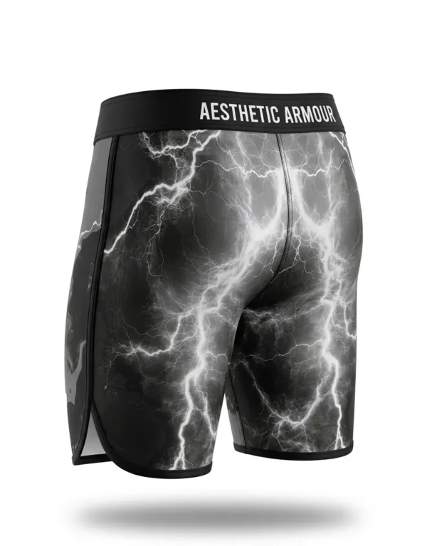 1777046226842 Aesthetic Armour Men's Physique Board Shorts