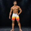 Men's Physique Horizon Dawn Board Shorts